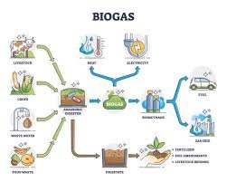 Biogas