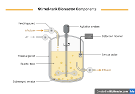 Bioreactor