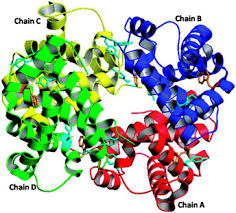 Catalase
