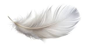 Feather