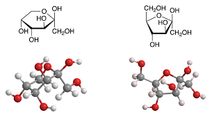 Fructose