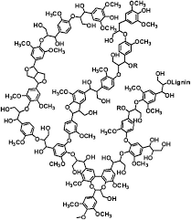 Lignin