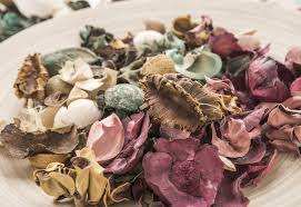 Potpourri
