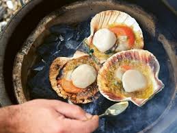 Scallops