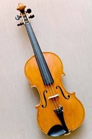 Violin