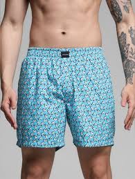 boxer